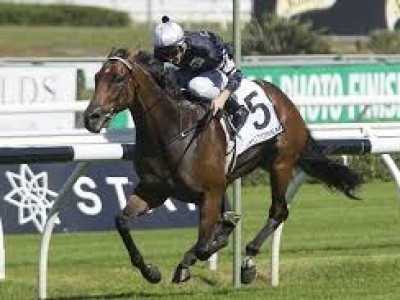 PREVIEW: 2020 MAGIC MILLIONS GOLD COAST 2YOS IN TRAINING SAL ... Image 1